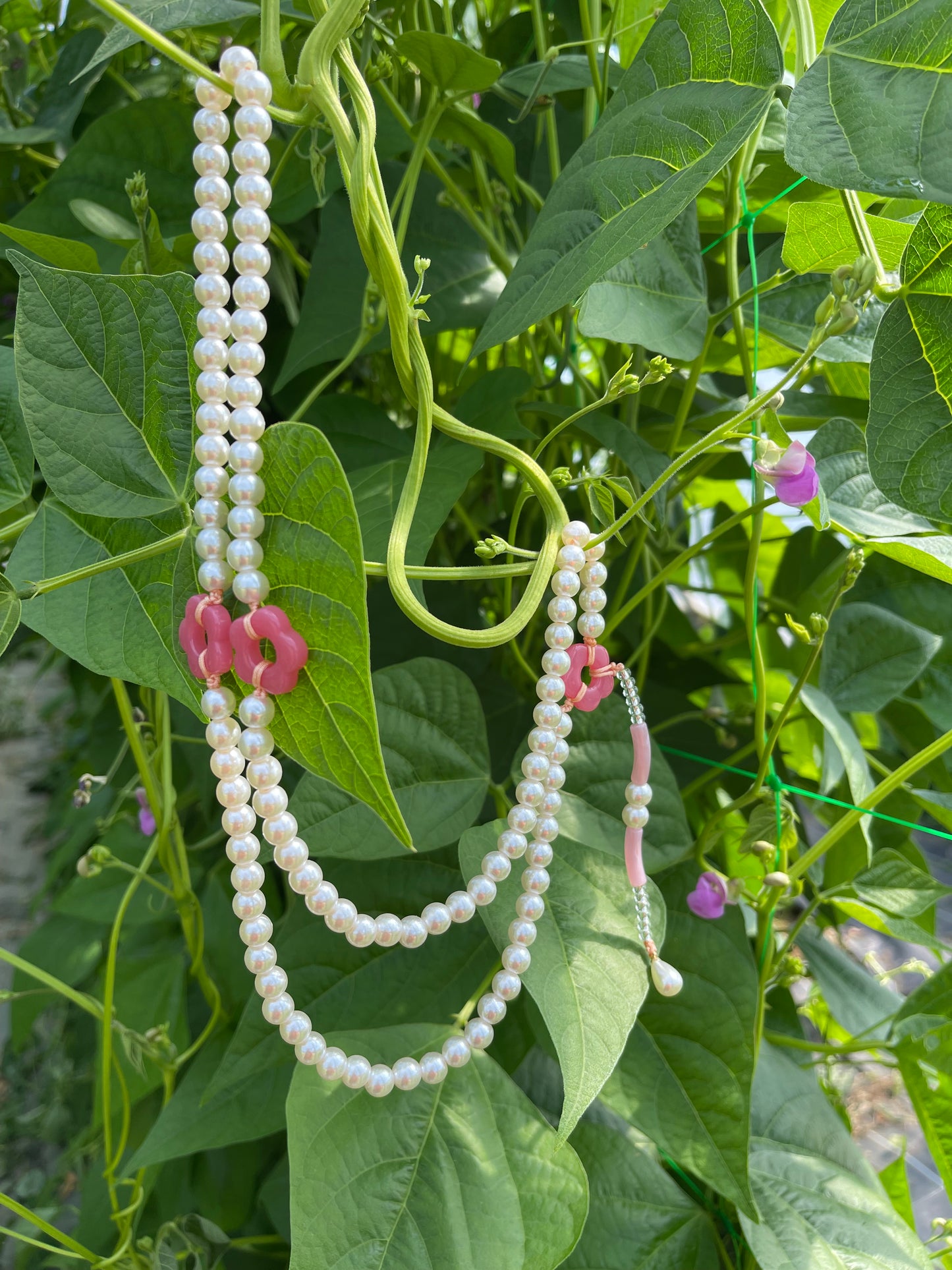 Jardin Fleuri de rose