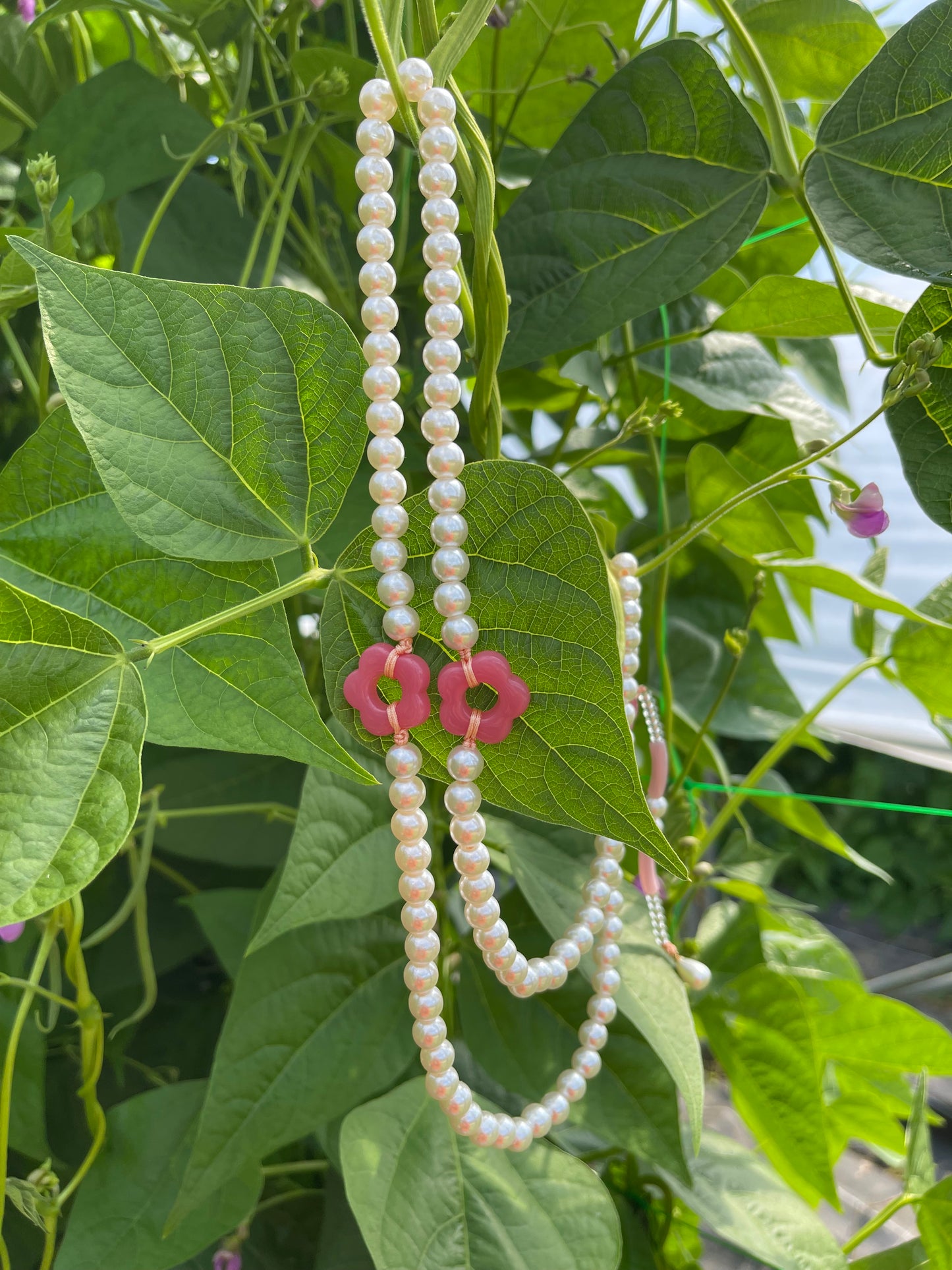 Jardin Fleuri de rose